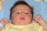 dylan mon gros bb
